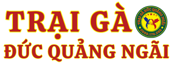 Trại Gà Đức Quảng Ngãi