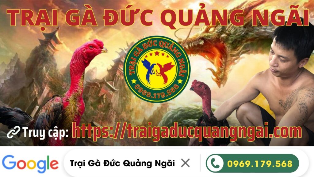 Video 18h33 ngày 11/12 – Trại Gà Đức Quảng Ngãi